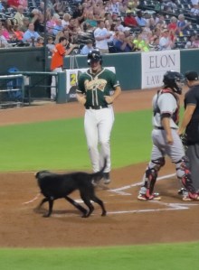 babe meets runner at home