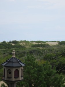 Corolla birdhouse