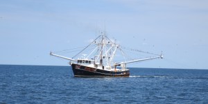 shrimp boat