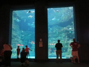 watching the watchers