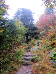 Day 1 - waterrock knob trail