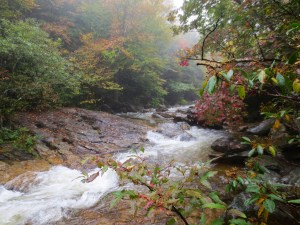 Day 2 - graveyard fields lower falls 2