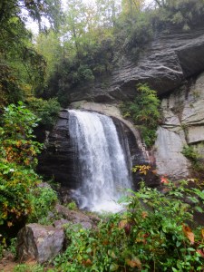Day 2 - pisgah - looking glass falls