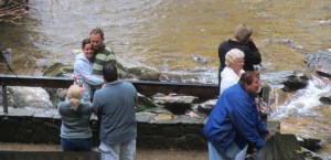 Day 2 - pisgah - tourists