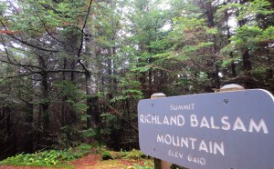 Day 2 - richland-balsam peak