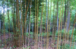 Day 3 - BRP - MM 376 2