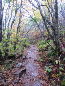 Day 4 - douglas falls 1