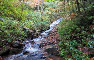 Day 4 - douglas falls 2