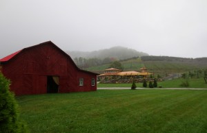 Day 5 - lf winery 3