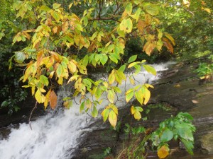 Day 6 - e b jeffries cascades 1