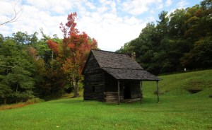 Day 6 - e b jeffries park 1