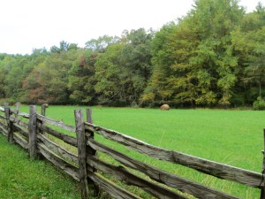 Day 6 - near NC state line 1